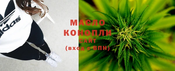 сатива Дмитриев