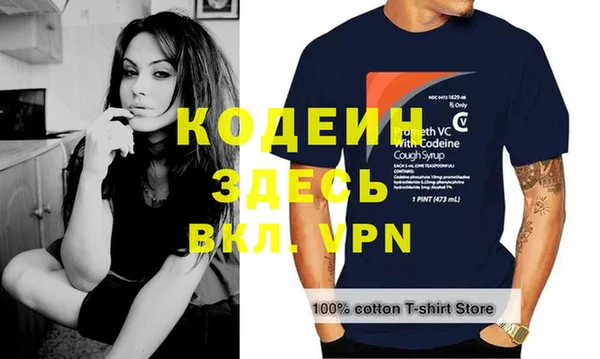 сатива Дмитриев