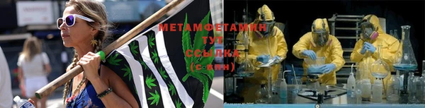 сатива Дмитриев