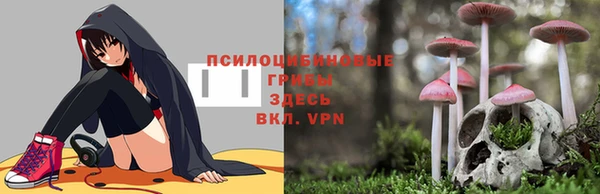 сатива Дмитриев