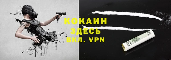 сатива Дмитриев