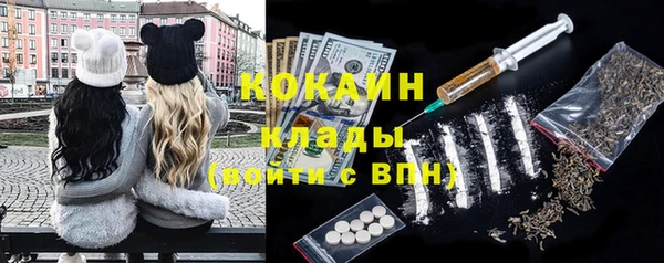 сатива Дмитриев