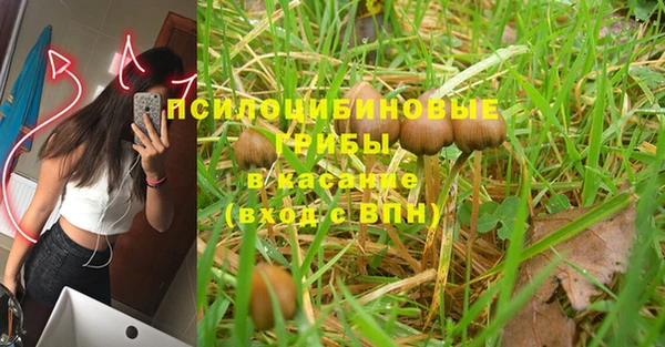 винт Дмитровск