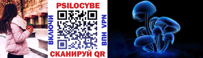 Купить закладки  Любим  Псилоцибиновые грибы Psilocybe 