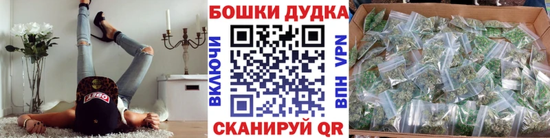 Бошки Шишки сатива  Купить  Любим 